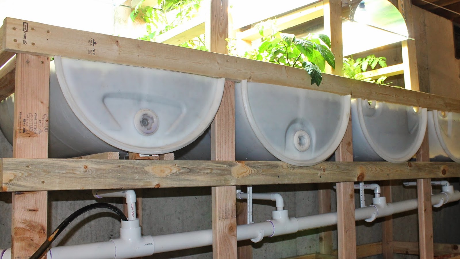 designing a new aquaponics system already have a system and want to 