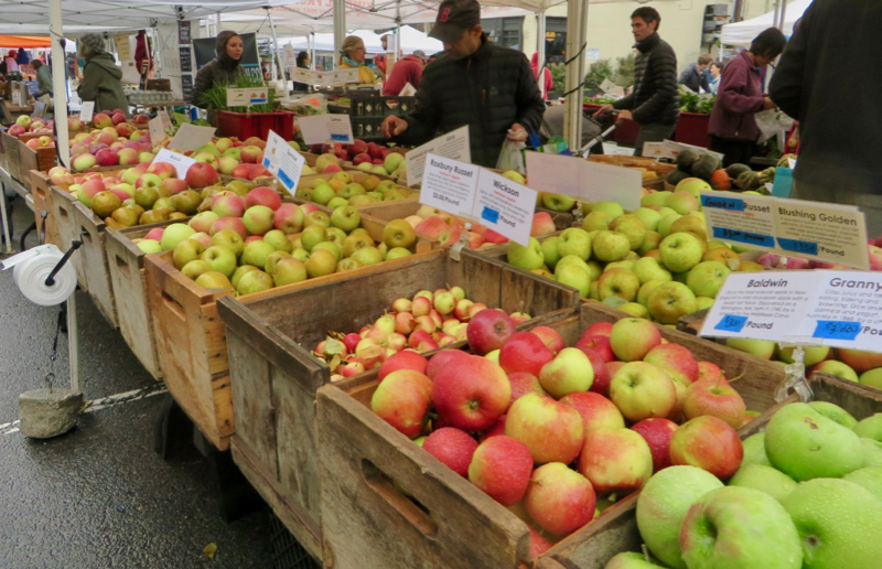 many woodin bins filled with many different kinds of apples