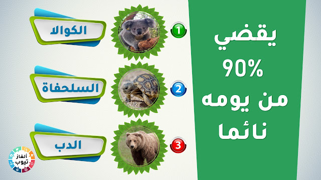 2- يقضي 90% من يومه نائما ؟