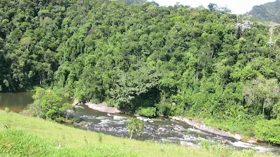 Mata atlántica y rio pedregoso con algunos rápidos