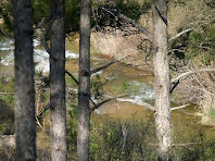 La Riera de Merlès vista des del sender del cantó de Gaià