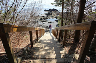 west Quoddy Park