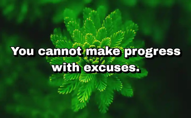 "You cannot make progress with excuses." ~ Cam Newton