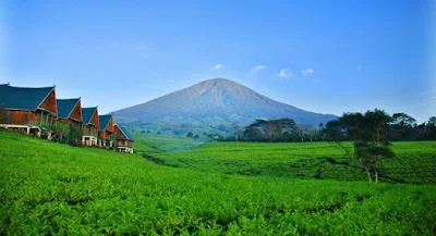 Gunung Dempo Pagar Alam Yang Indah Berikut 6 Informasi Wisata Gunung Dempo Terbaru