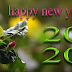 happy new year 2020 love shayari photo