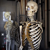 Nossos ossos influenciam nossas mentes?