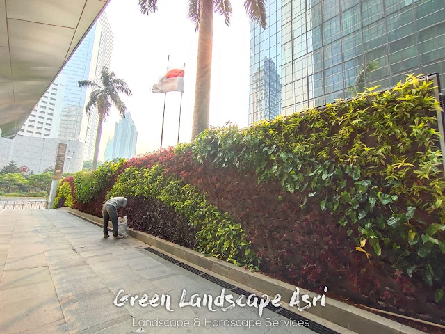 Jasa Taman Vertikal di Surabaya - Tukang Vertical Garden Profesional Surabaya