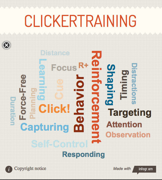 clickertraining infographic