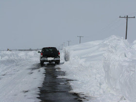 Edam Snow bank
