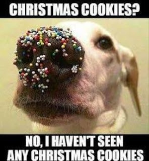 Top30 christmas  funny memes and  photo for whatsapp 2019-2020