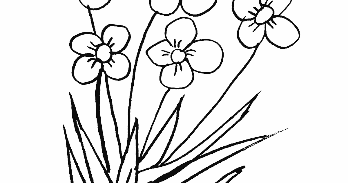 Mewarnai Bunga Rumput - Contoh Gambar Mewarnai