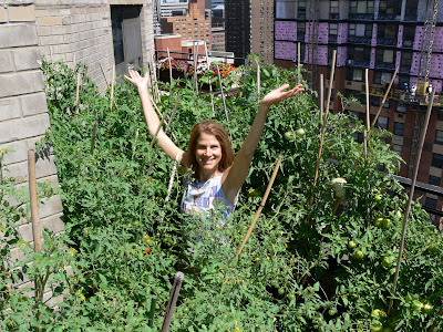 Urban Gardening on Nycgardener Blogspot Com  Urban Gardening Made Easy