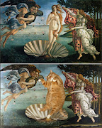 Cat in Famous PaintingsMeme for Monday (cat venus)