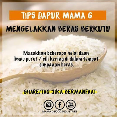 tips, elakkan beras berkutu