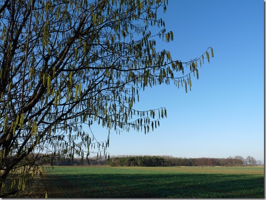 Sonntagsausflug Januar (15)