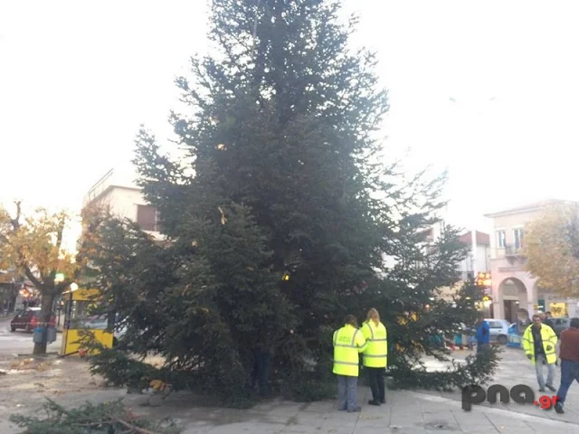 Τεράστιο έλατο τοποθετήθηκε για Χριστουγεννιάτικο δέντρο στην Τρίπολη (βίντεο)