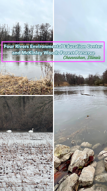 Illinois Bald Eagle Watching at Four Rivers Environmental Education Center and McKinley Woods in Channahon, Illinois