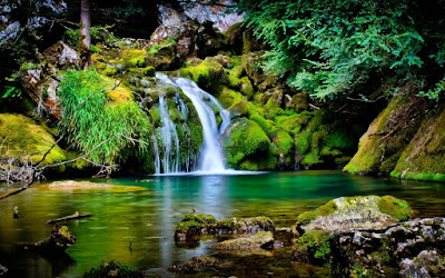 Beautiful Nature Green Wallpaper HD 