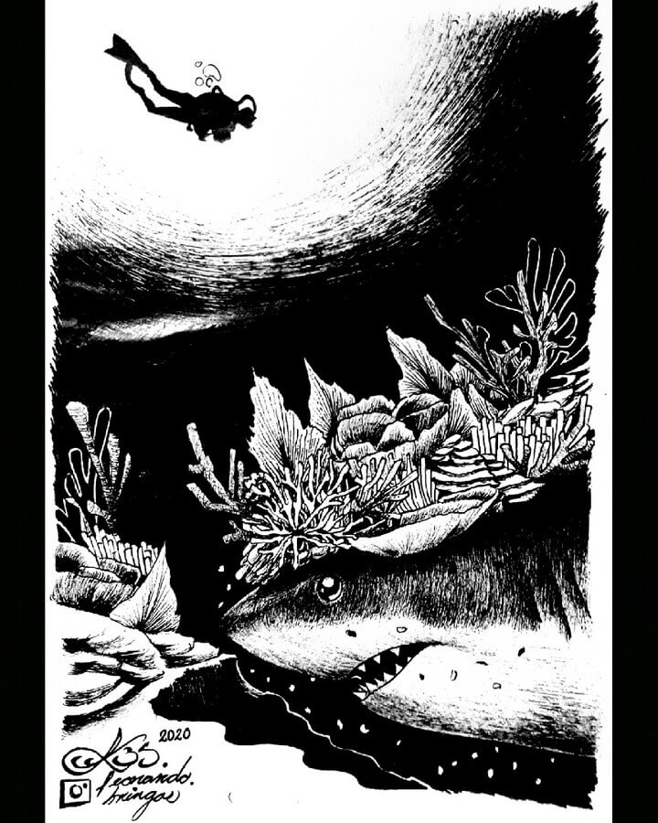 02-Coral-and-a-shark-Black-and-White-Drawings-Leonardo-Bringas-www-designstack-co