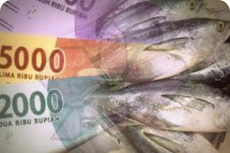 Harga Ikan Cakalang di Ambon Capai Rp150.000 per Ekor