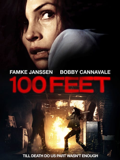 Ver Arresto domiciliario 2008 Online Latino HD