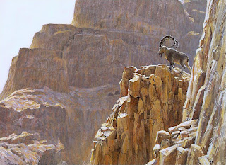 Ibex at Masada (study), 1996