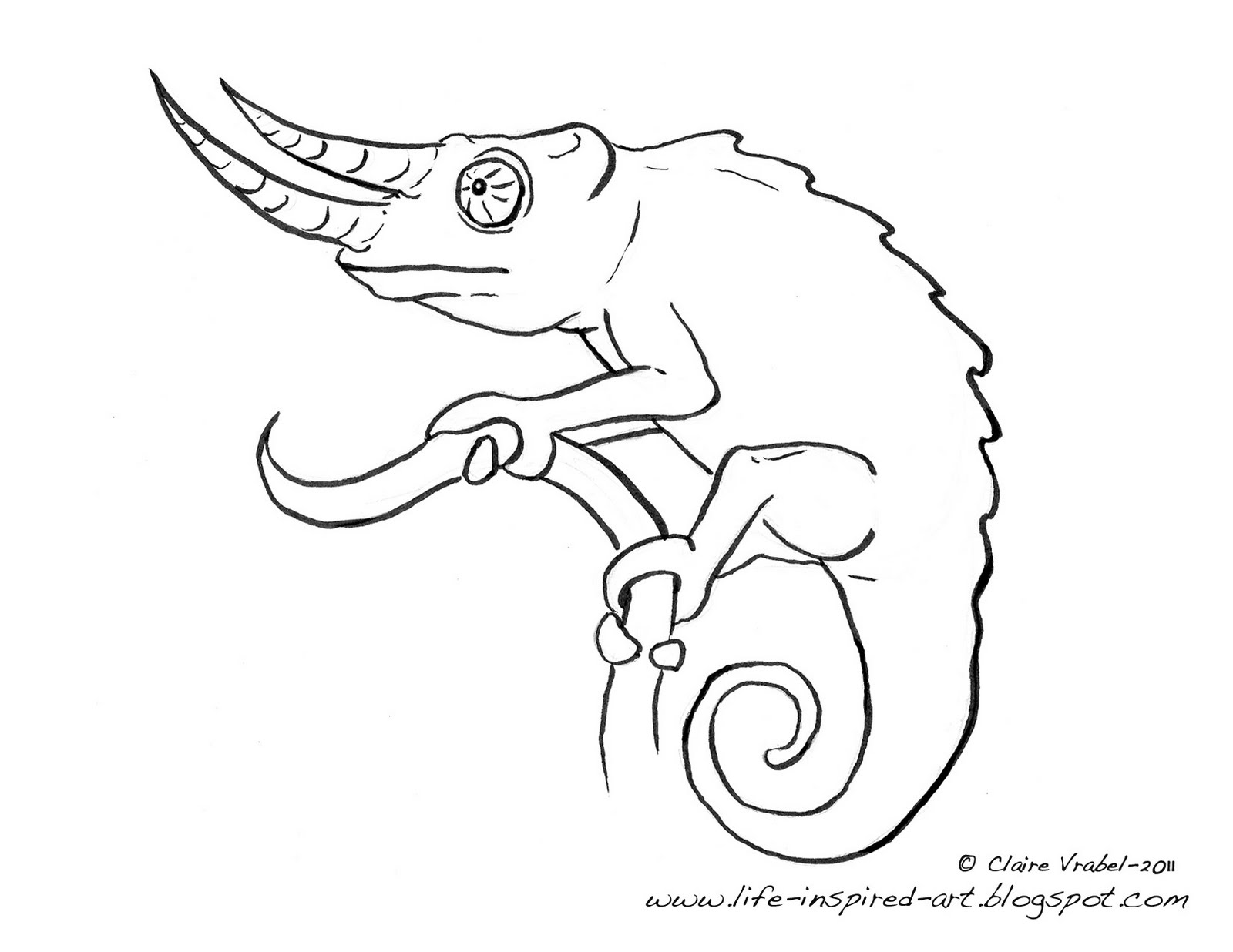 Chameleon drawing