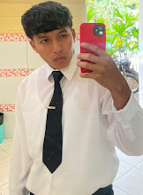 Mi foto