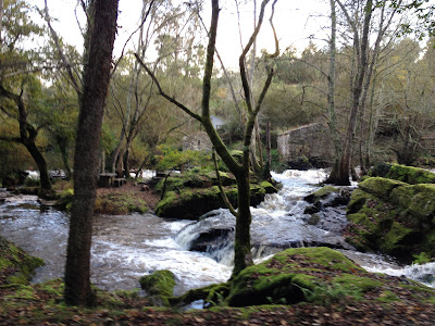 by E.V.Pita / River Anllons - Verdes (Spain, Galicia)