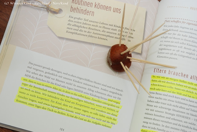 Ein Buch über die Trotzphase von Susanne Mierau. Richtigerweise ist es allerdings die Autonomiephase und wieso diese Phase so wichtig für unsere Kinder ist und was wir Eltern an uns und dem Alltag ändern können, um gelassener damit umzugehen, davon handelt dieses Buch.