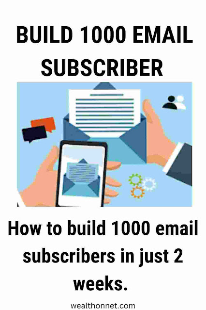 Build 1000 email subscribers