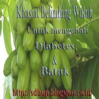 obat herbal untuk mengobati diabetes