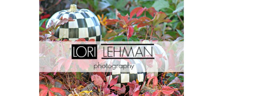 Lori Lehman Photography