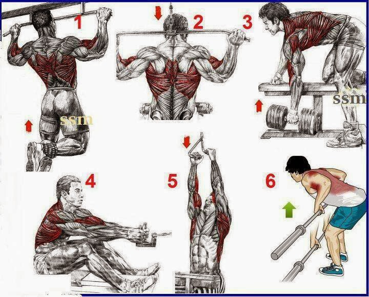 fitness & bodybuilding: This a simple exercises for the begining's