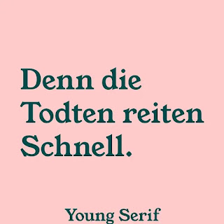 Young Serif specimen