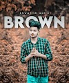 Brown Tone Lightroom mobile preset free download 2024