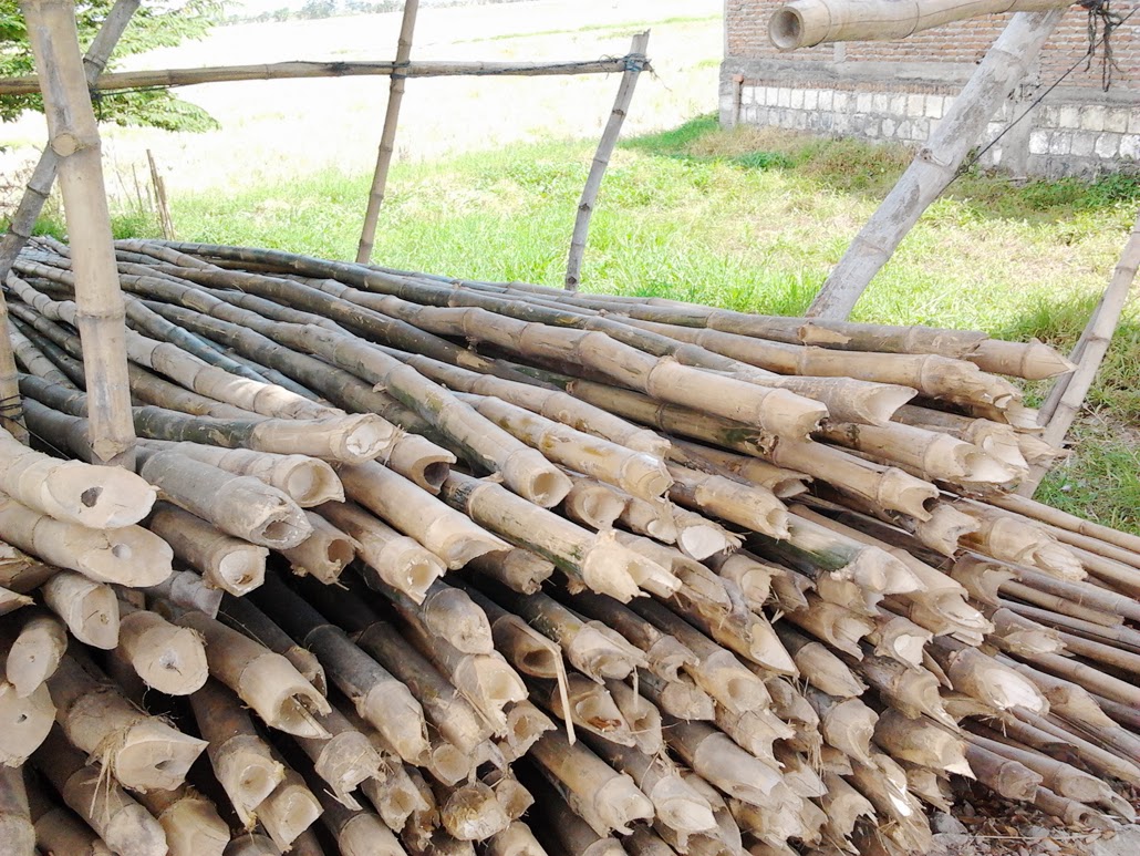 JUAL BAMBU  BONGKOTAN Damarsi Sidoarjo GALANGAN BAMBU 