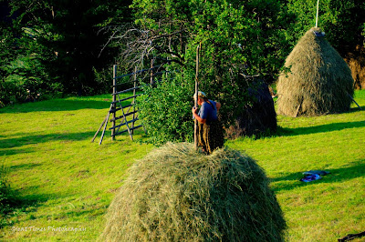 Comuna Romuli, Romuli, Kaczyka. Landscapes, Bistrita, Maramures, Romania, 