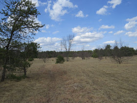 trail through open area with blue sky