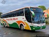 » Cruz del Sur (Bus Pullman) | N° 287