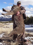 . in Arizona's Monument Valley. Unlike most other desert animals, .