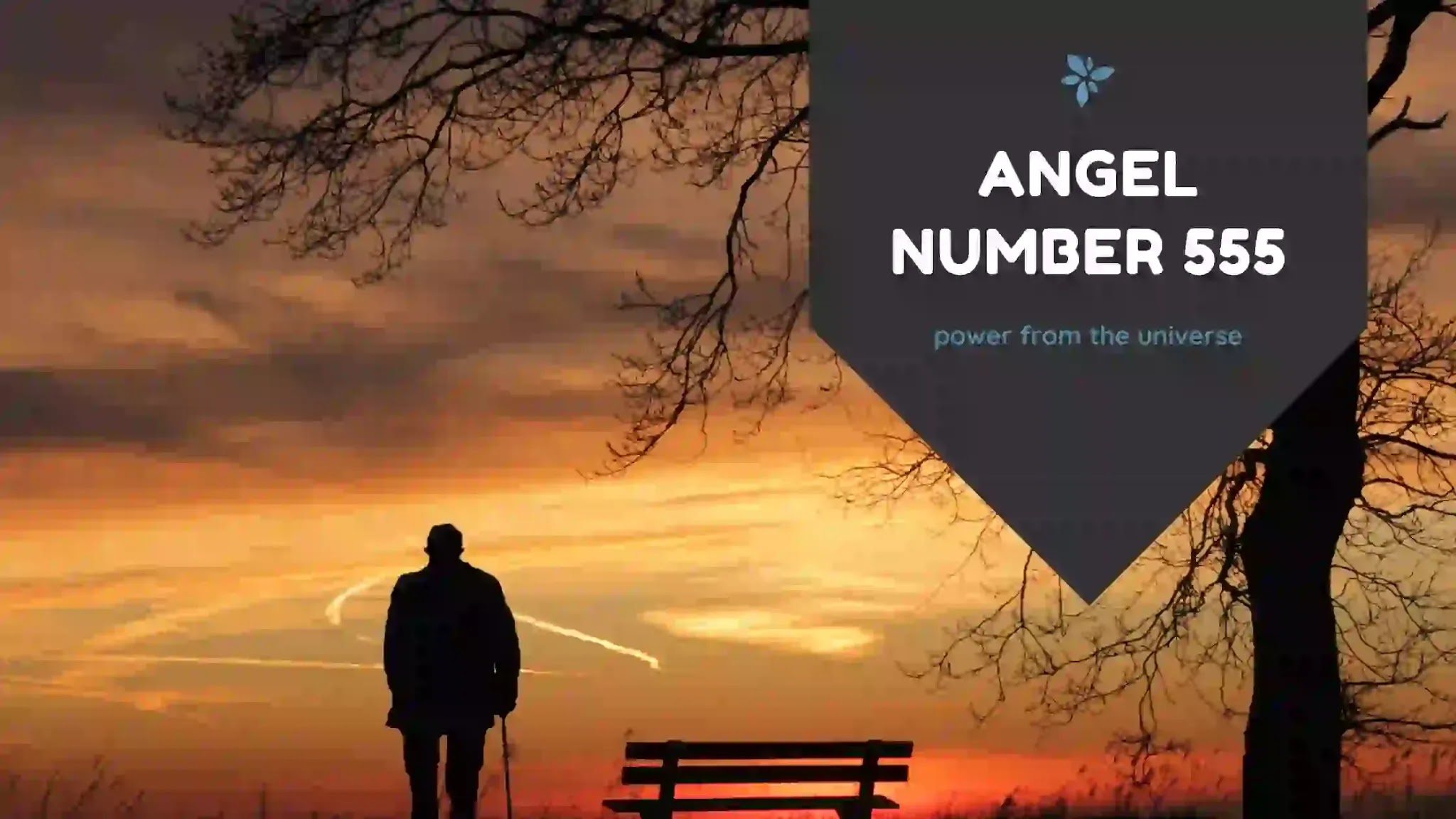 555 Angel Number Meaning And Ultimate Positive Changes 555 Angel Number Meaning And Ultimate Positive Changes