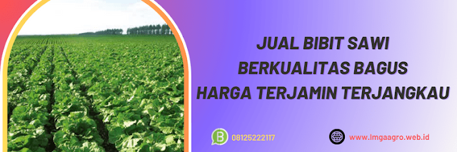 jual,murah,terjangkau,toko pertanian terdekat,lmga agro