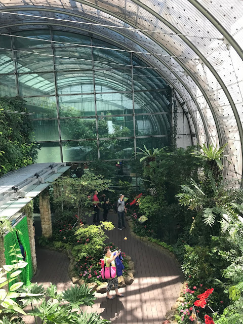 Inside Change Airports Butterfly Garden