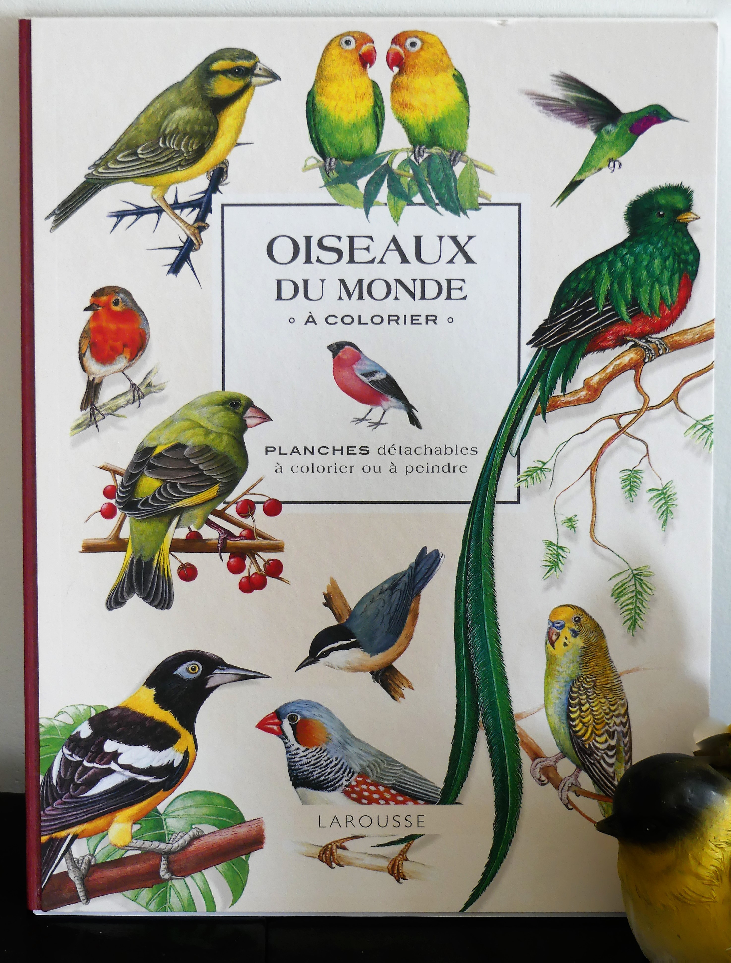 oiseaux du monde à colorier aux Editions Larousse