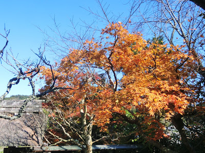  東慶寺