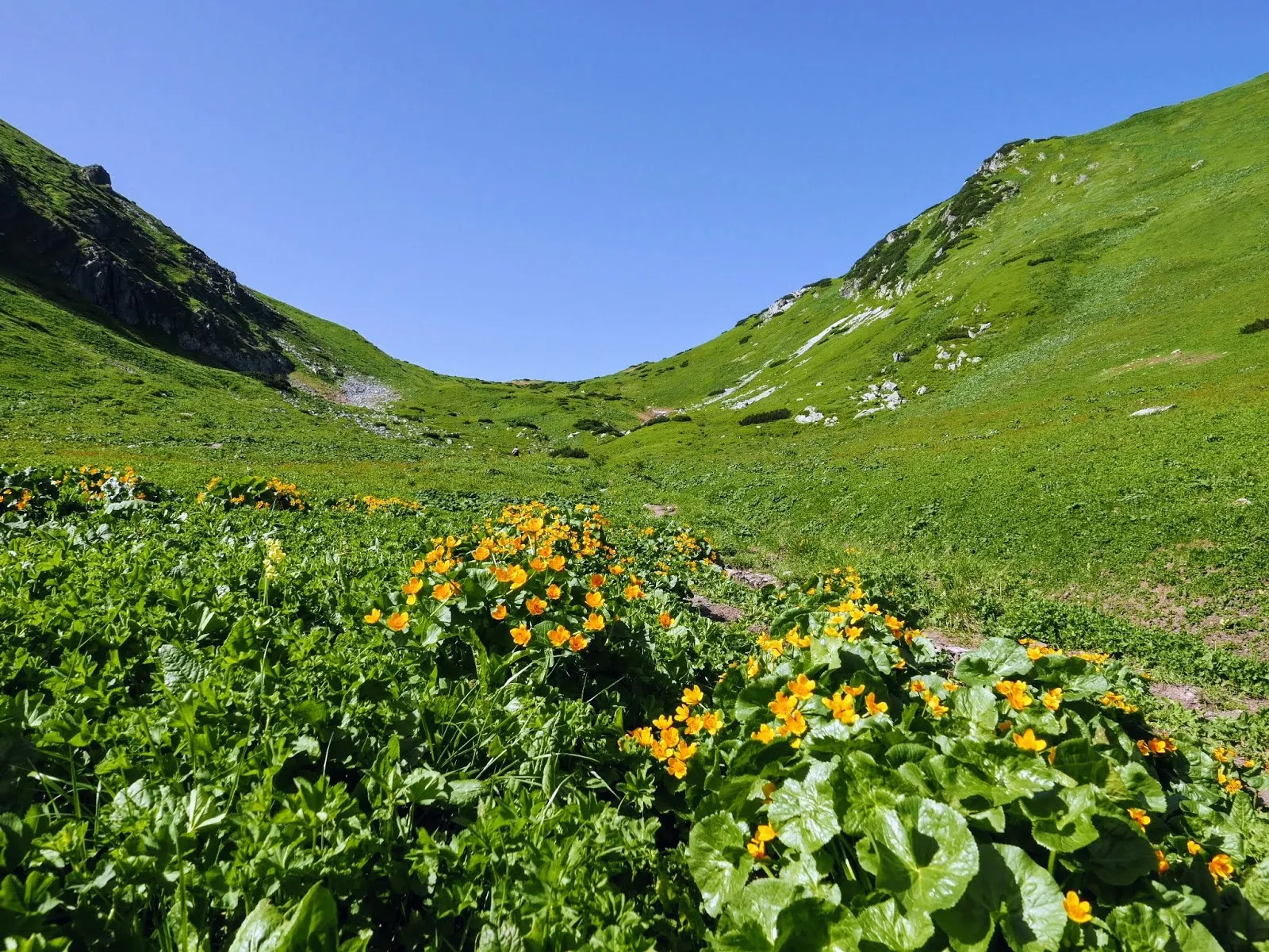 Wędrówka przez Tatry Bielskie i Wysokie. Przełęcz pod Kopą-Jagnięcy Szczyt-Świstówka. Lato w Tatrach. Tatry dla początkujących. Tatry dla średniozaawansowanych. Łatwe szlaki w Tatrach. Szlaki widokowe w Tatrach. Tatry Bielskie zdjęcia. Tatry Wysokie zdjęcia. Opis szlaków w tatrach. Tatry blog. Jagnięcy szczyt blog. Tatry bielskie blog. Przełęcz pod kopą. Szeroka przełęcz tatry bielskie.