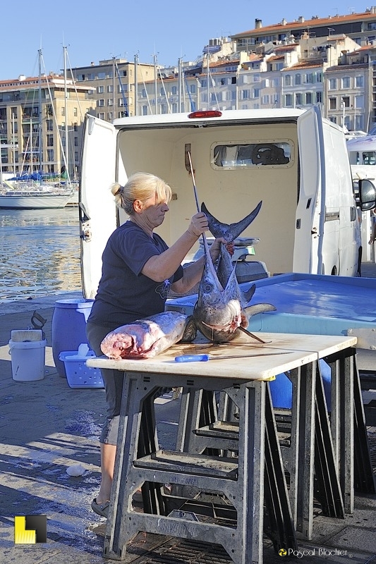 Poissonnière Marseillaise avec un espadon photo blachier pascal