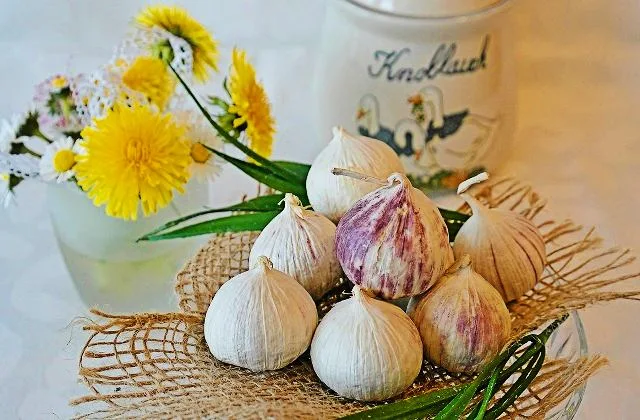 Benefits and Side Effects of garlic