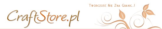 Blog sklepu CraftStore.pl